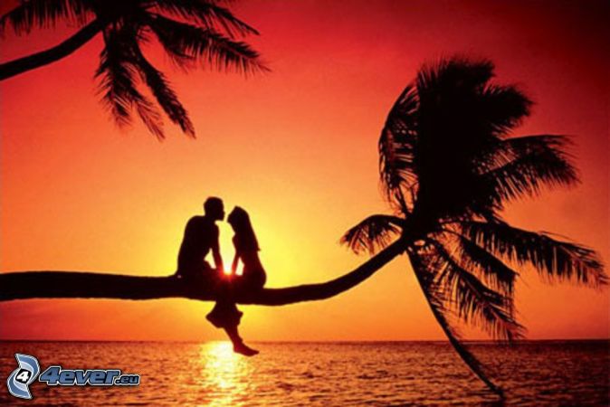 coppia al tramonto, palma, mare, siluette